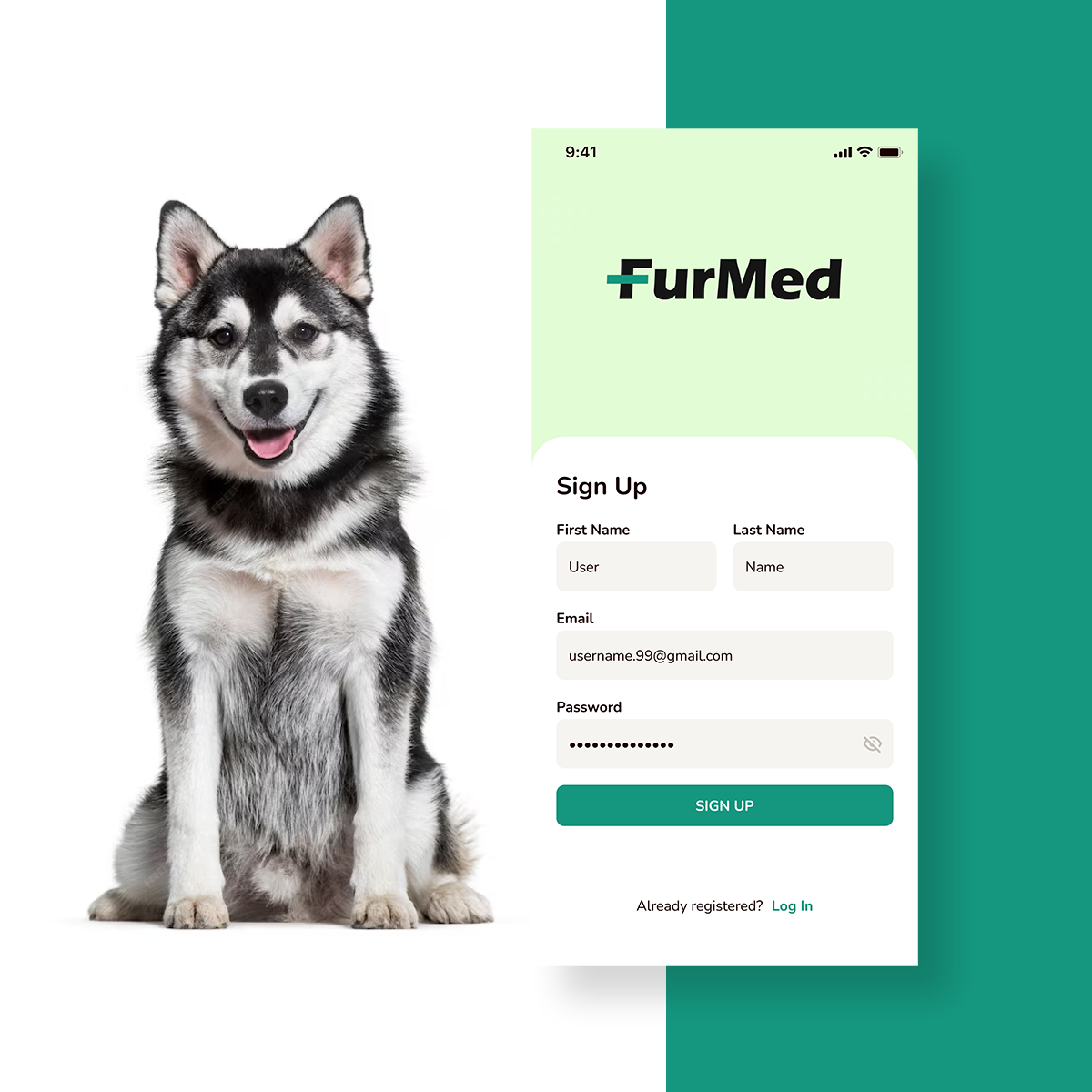 FurMed – Your Pet’s Lifeline Revolutionizing